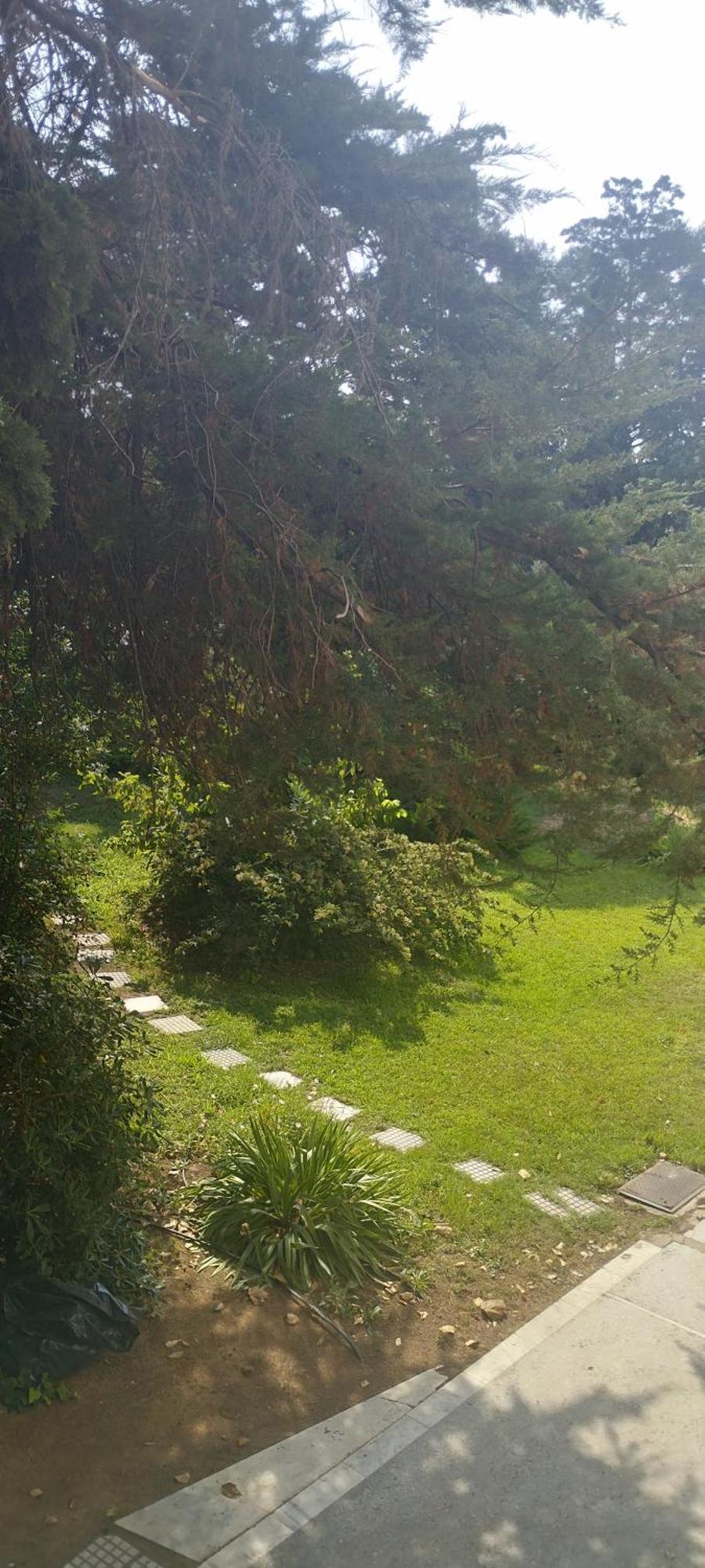 Appartement Seaview To Olympus, Sunny, Cosy Nea Michaniona